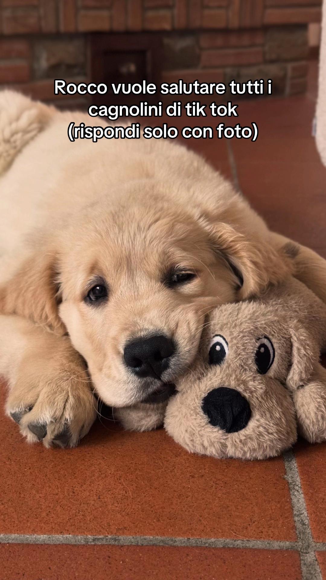 @marti_case_20