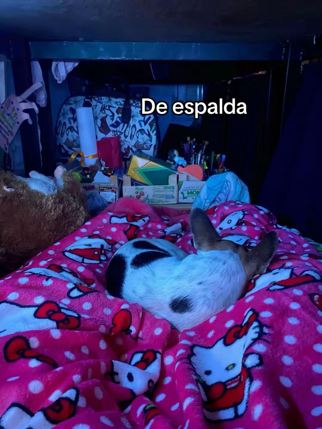 @laurisilva.012
