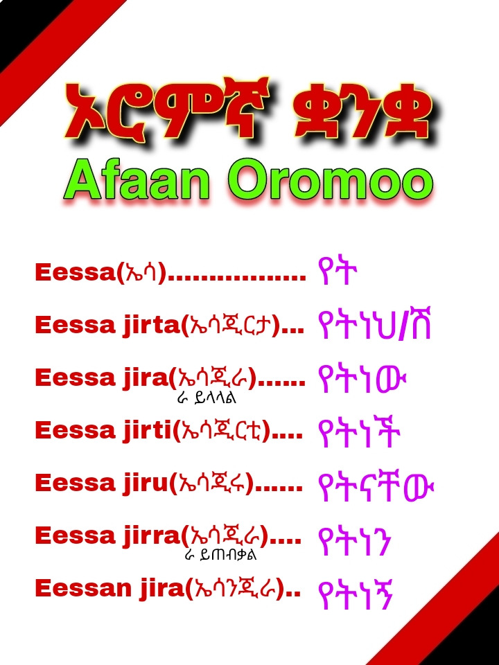 @Wanofi Tutorial