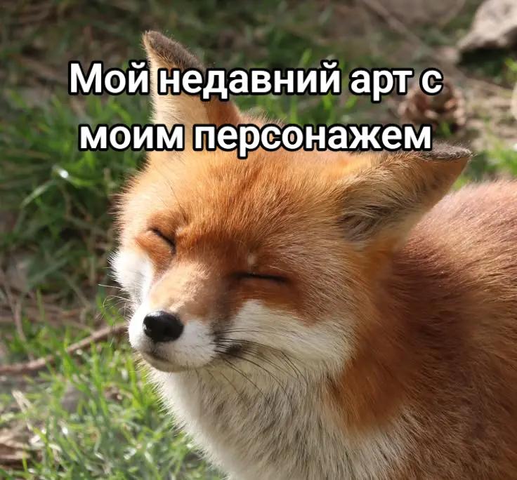 @Айси [🧊]