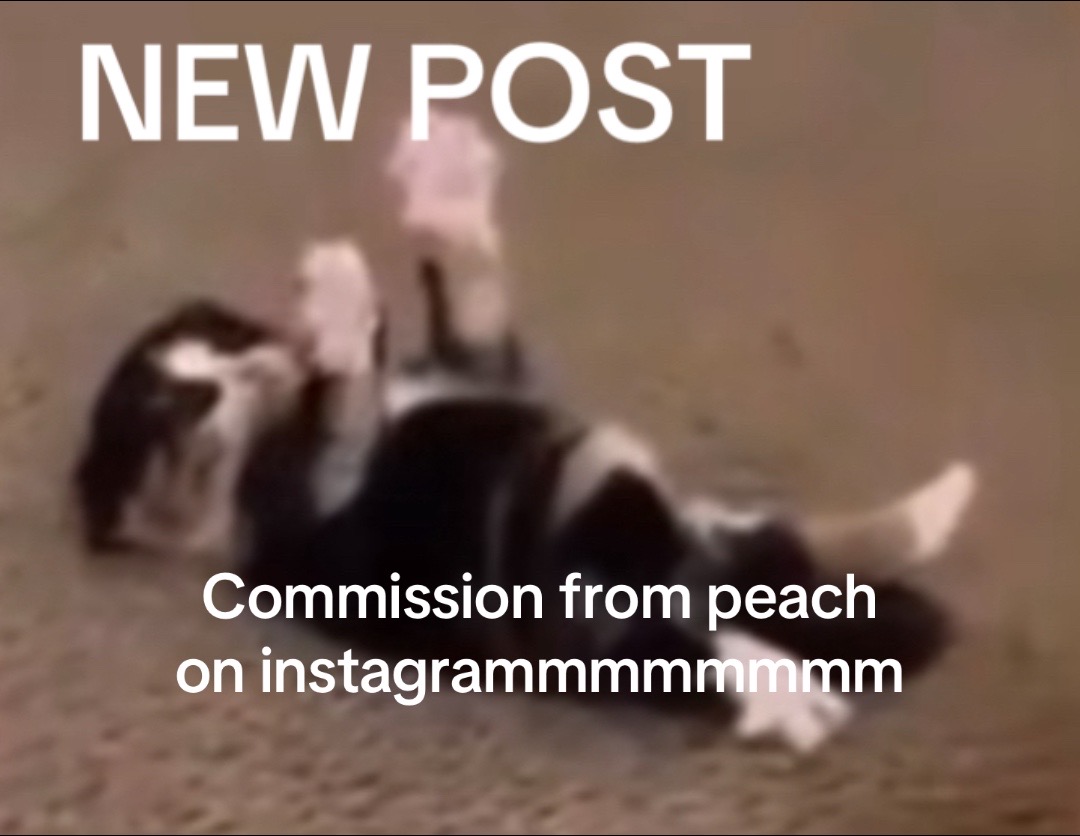 @riwari_saichikny