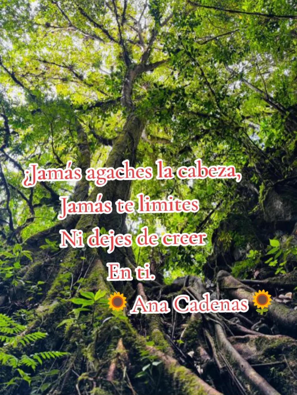 @anitacadenas