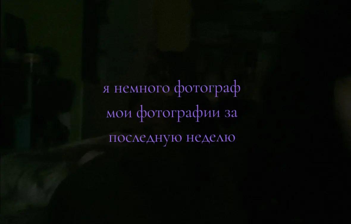 @bloodycheese (i love my cat)