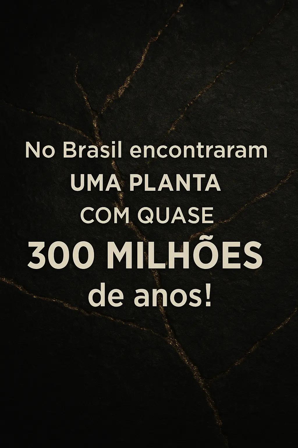 @Curiosidade Di&aacute;ria