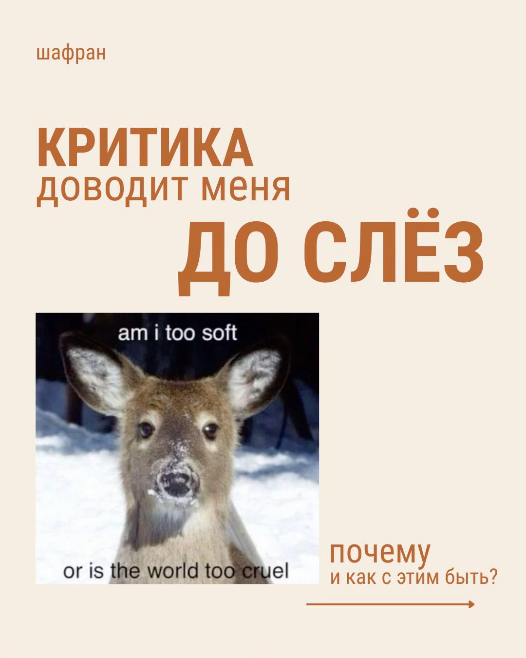 @тгк: @soffrrrn