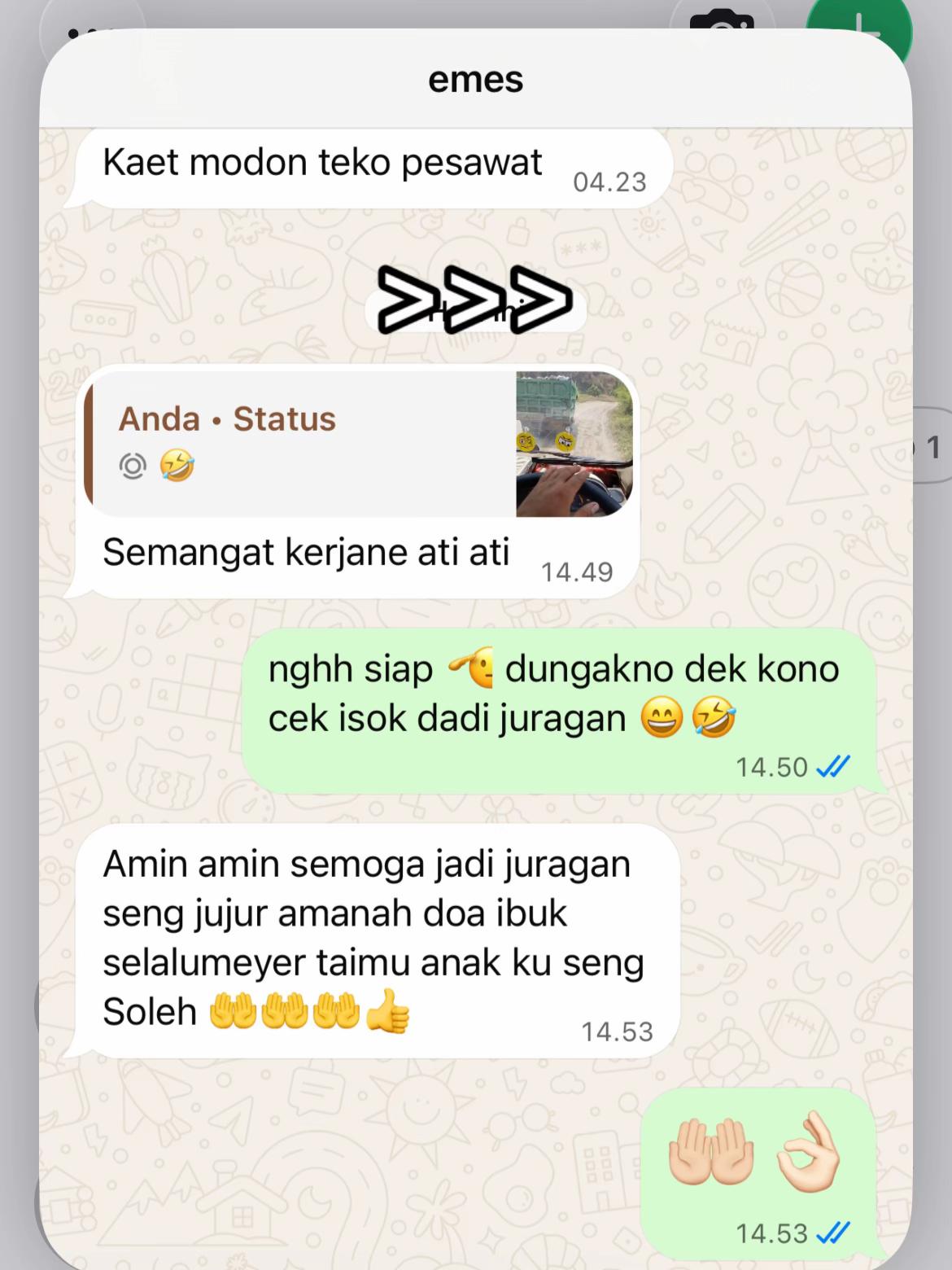 @alif_mdf