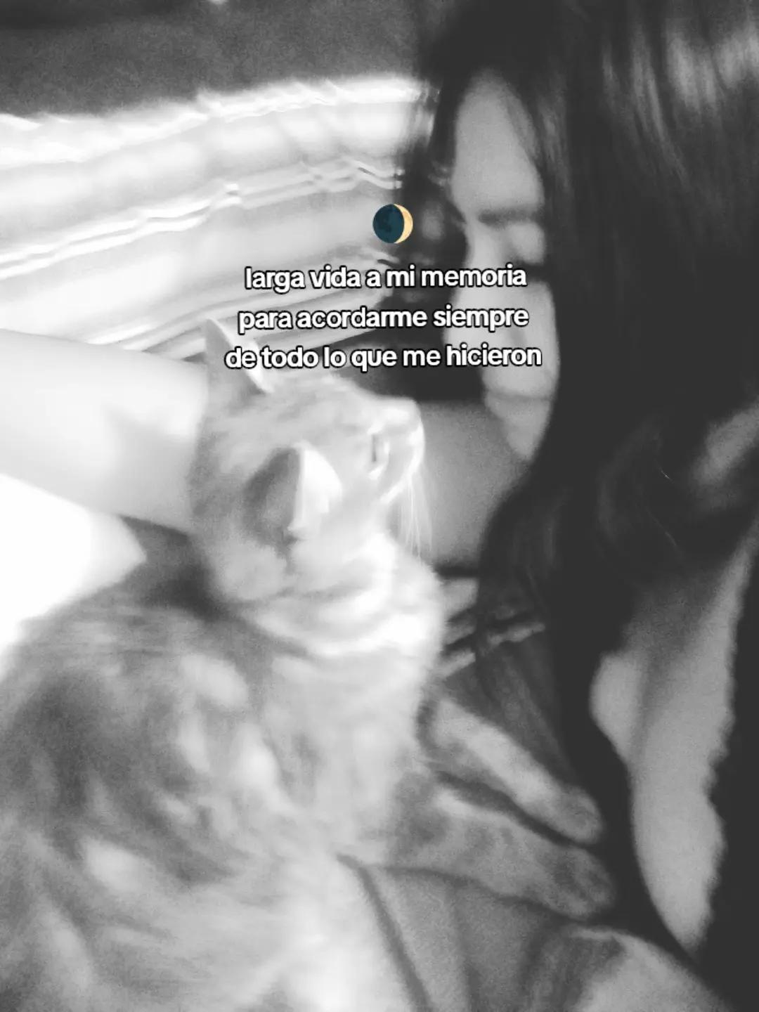 @lucy 🌙