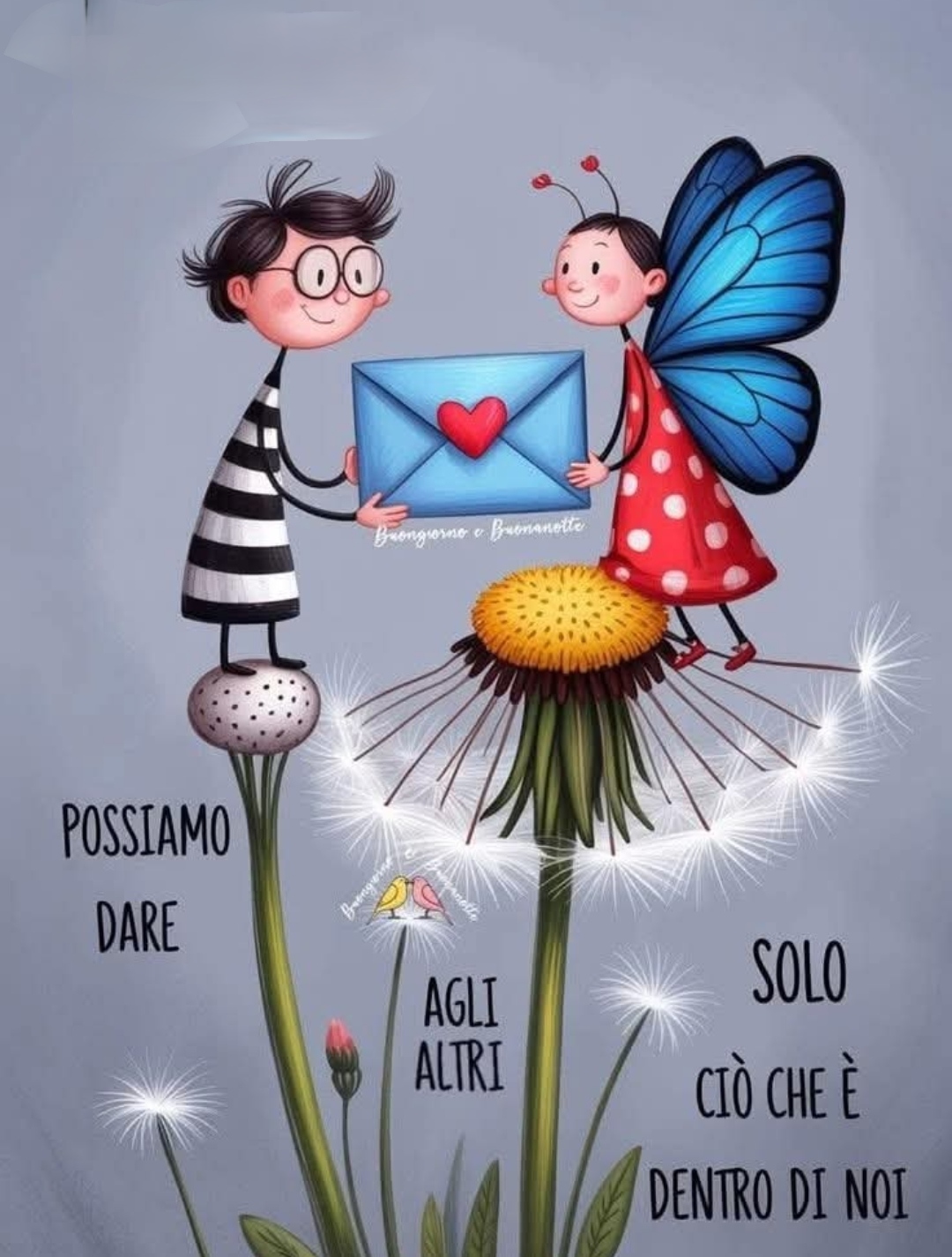 @lucia