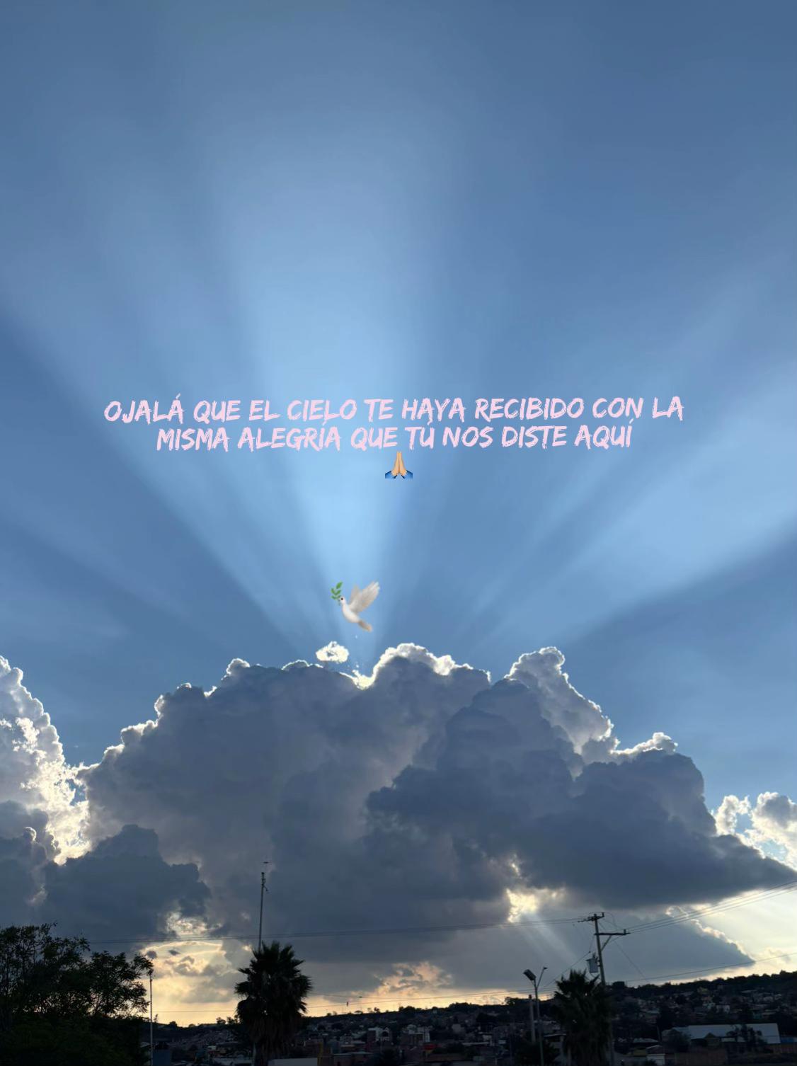 @𑣲*ૢ 𝒌𝓮𝒍𝒍𝓨.ꪆৎ