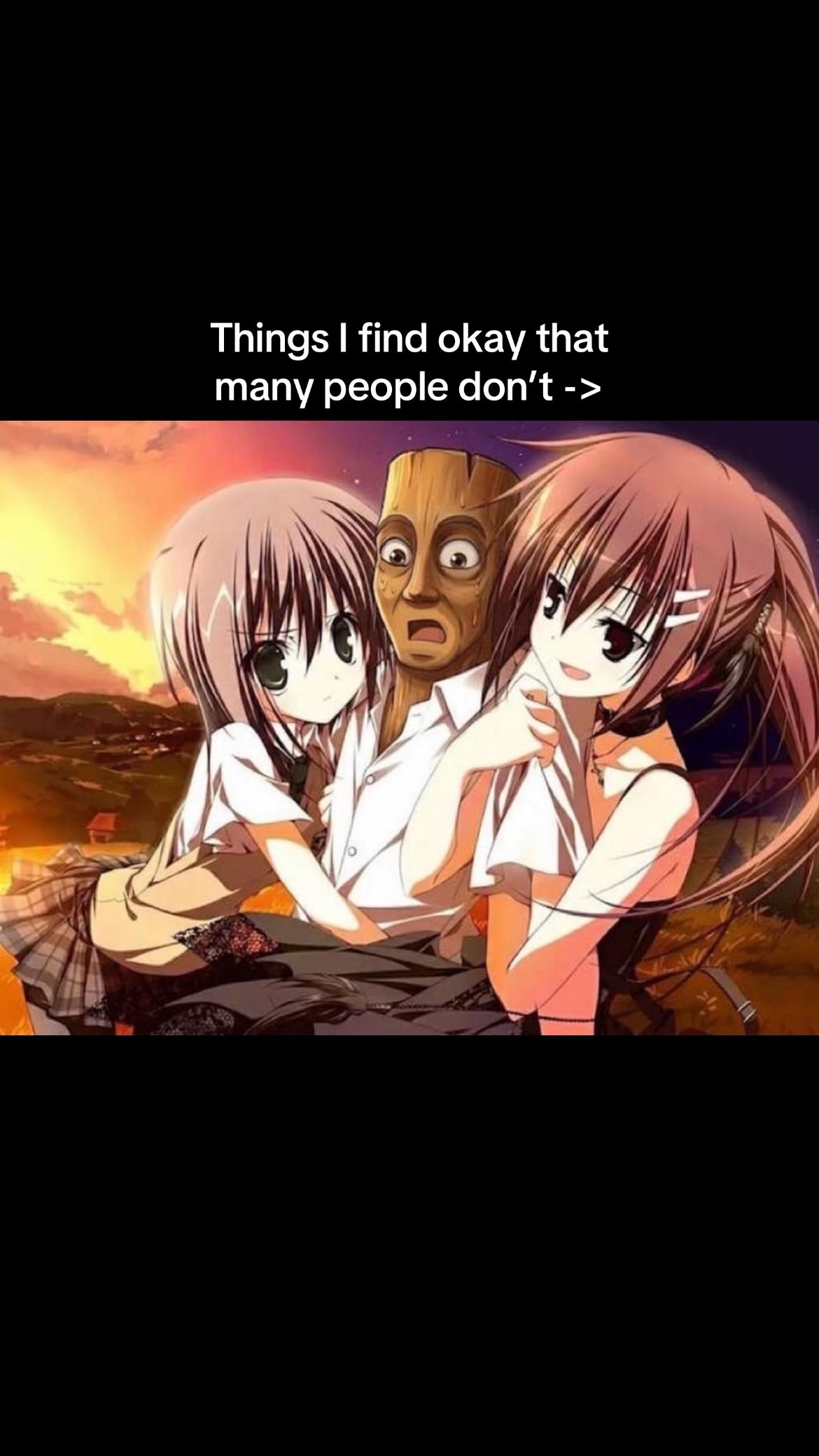 @Meteorita