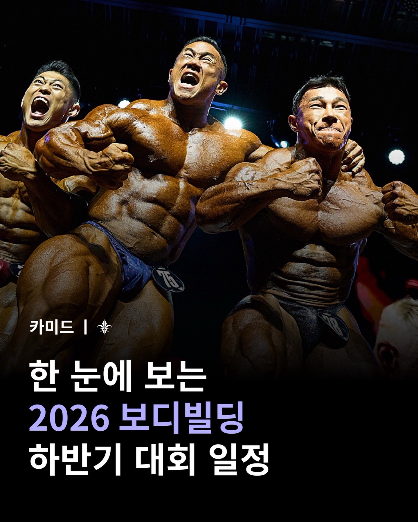 @카미드 CARMID