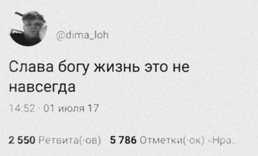 @₍^. .^₎⟆