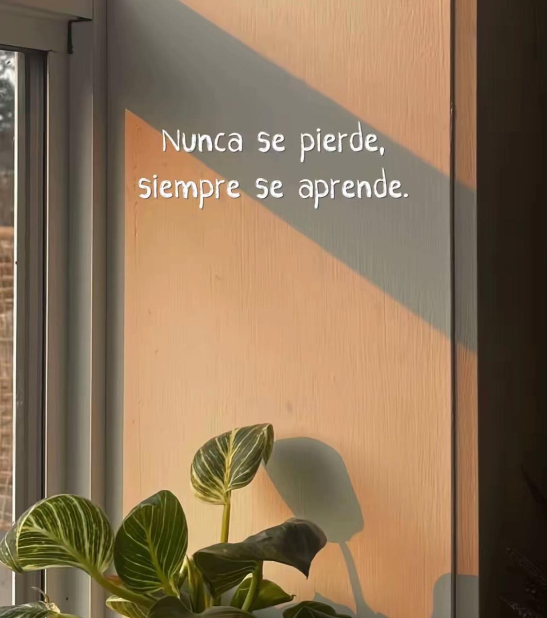 @Erminia