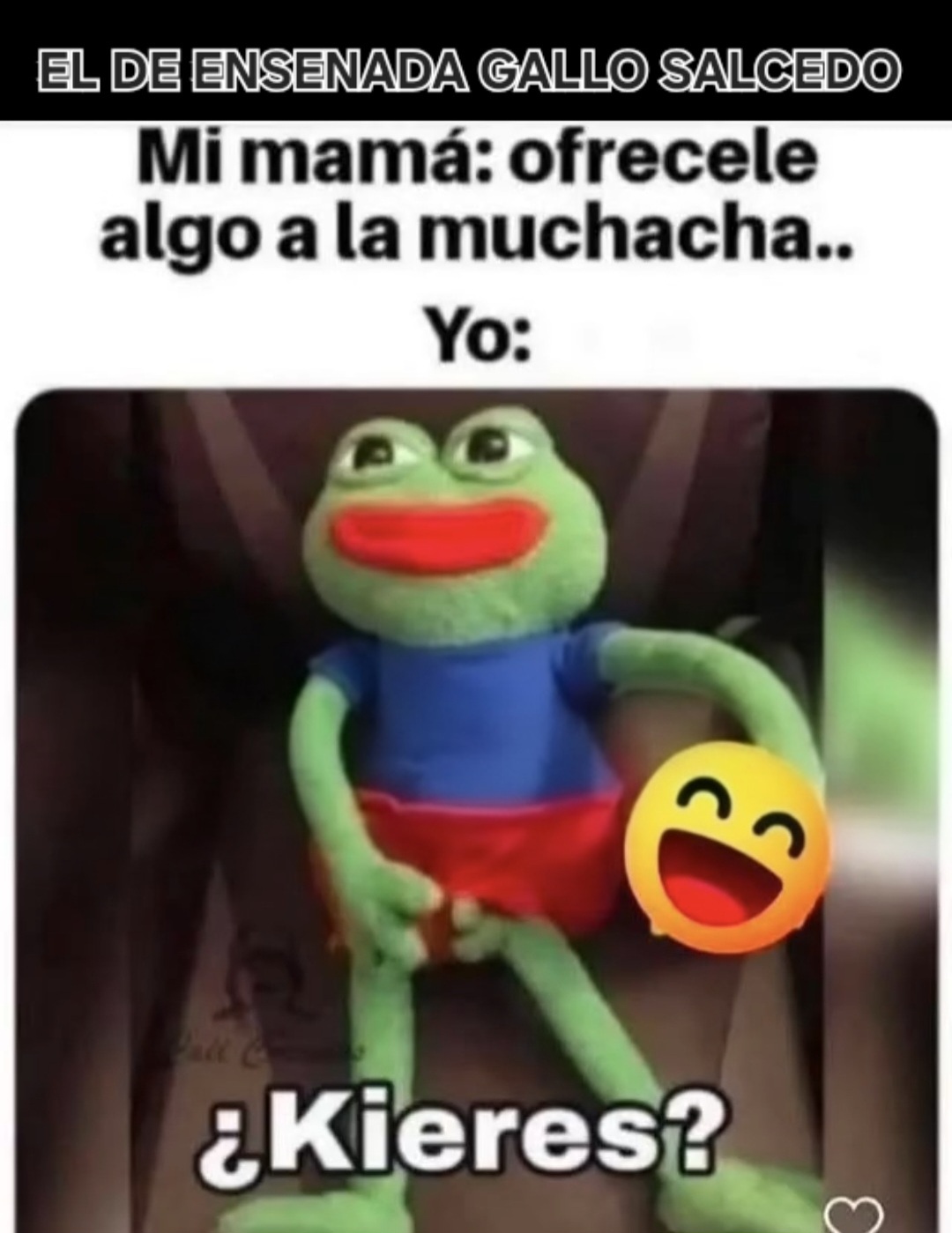 @EL Gallo Salcedo🇲🇽