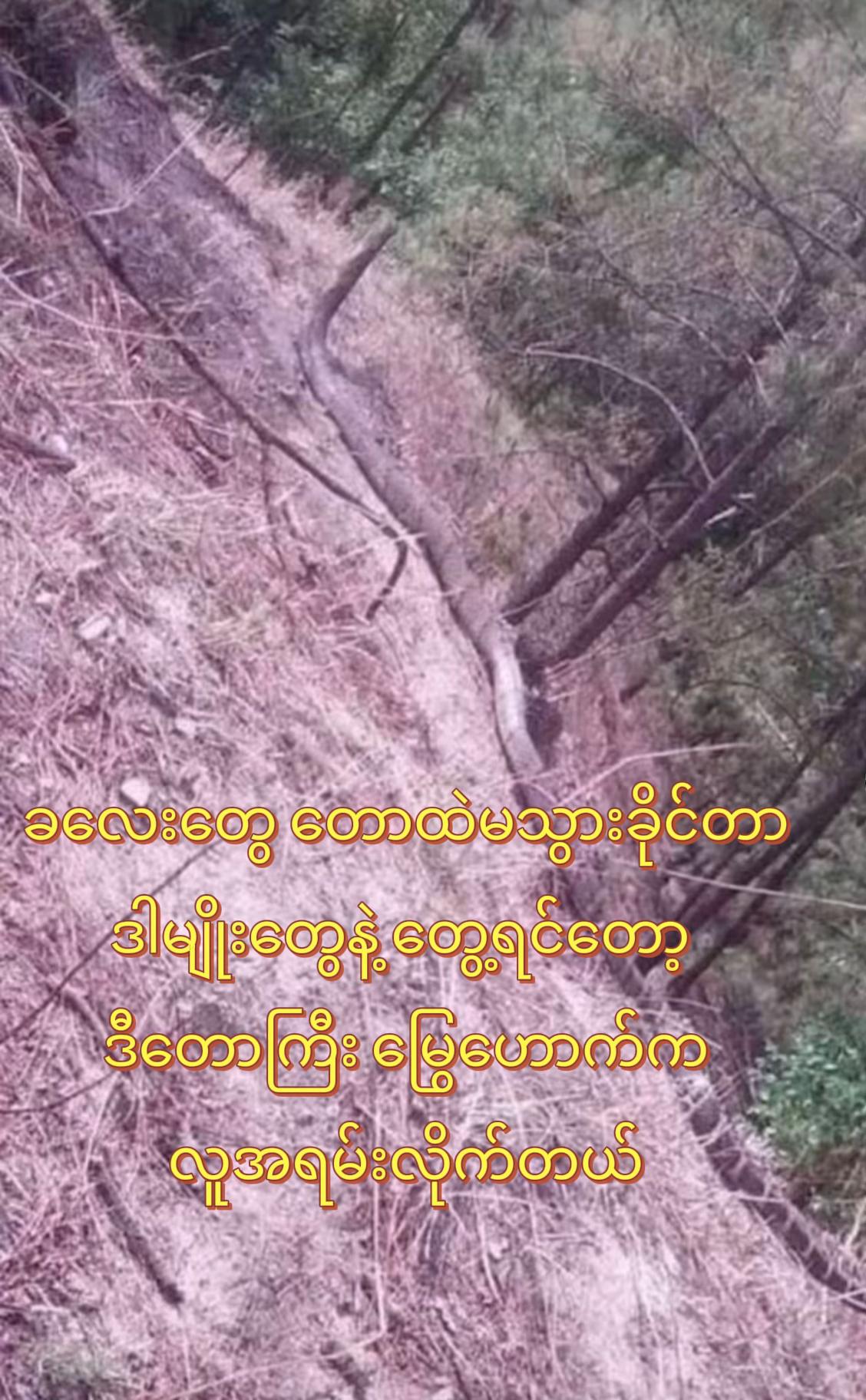 @đ˛đ˛Toe LayđŻđľ(á
á
áşáááŻááşá¸ááŹá¸)