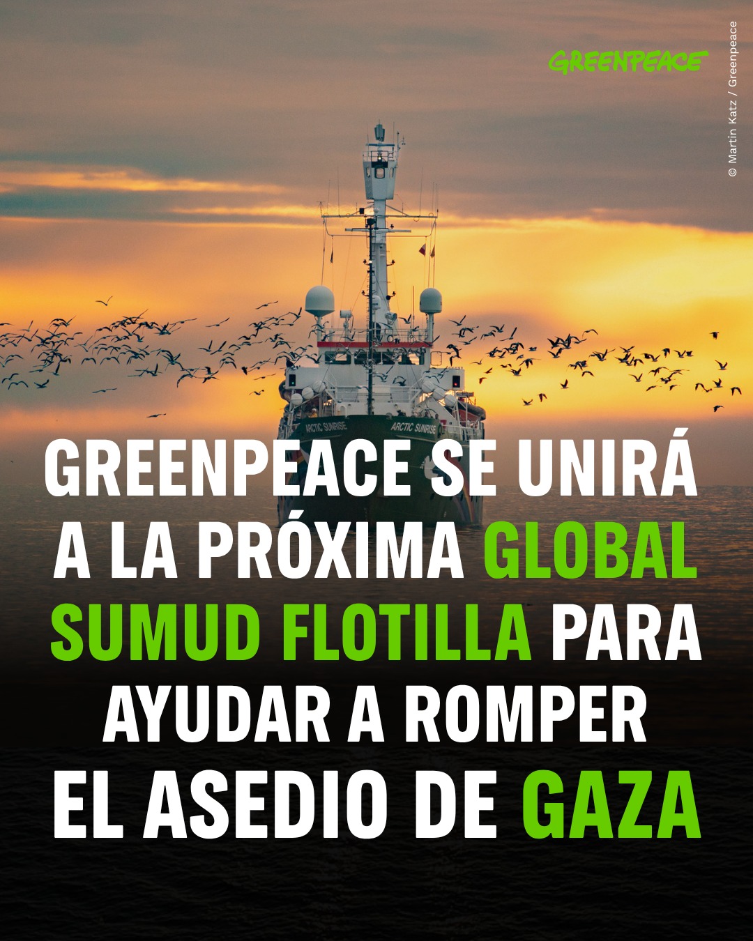 @Greenpeace México