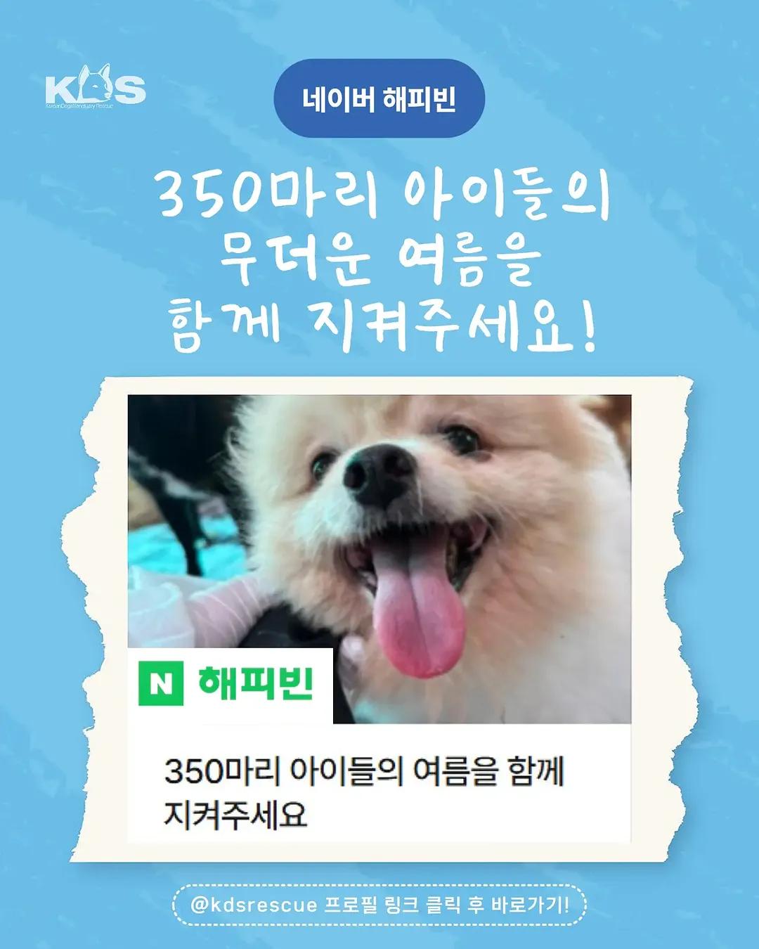 @🐶🐶엄지맘🦮🐕&zwj;🦺🐩