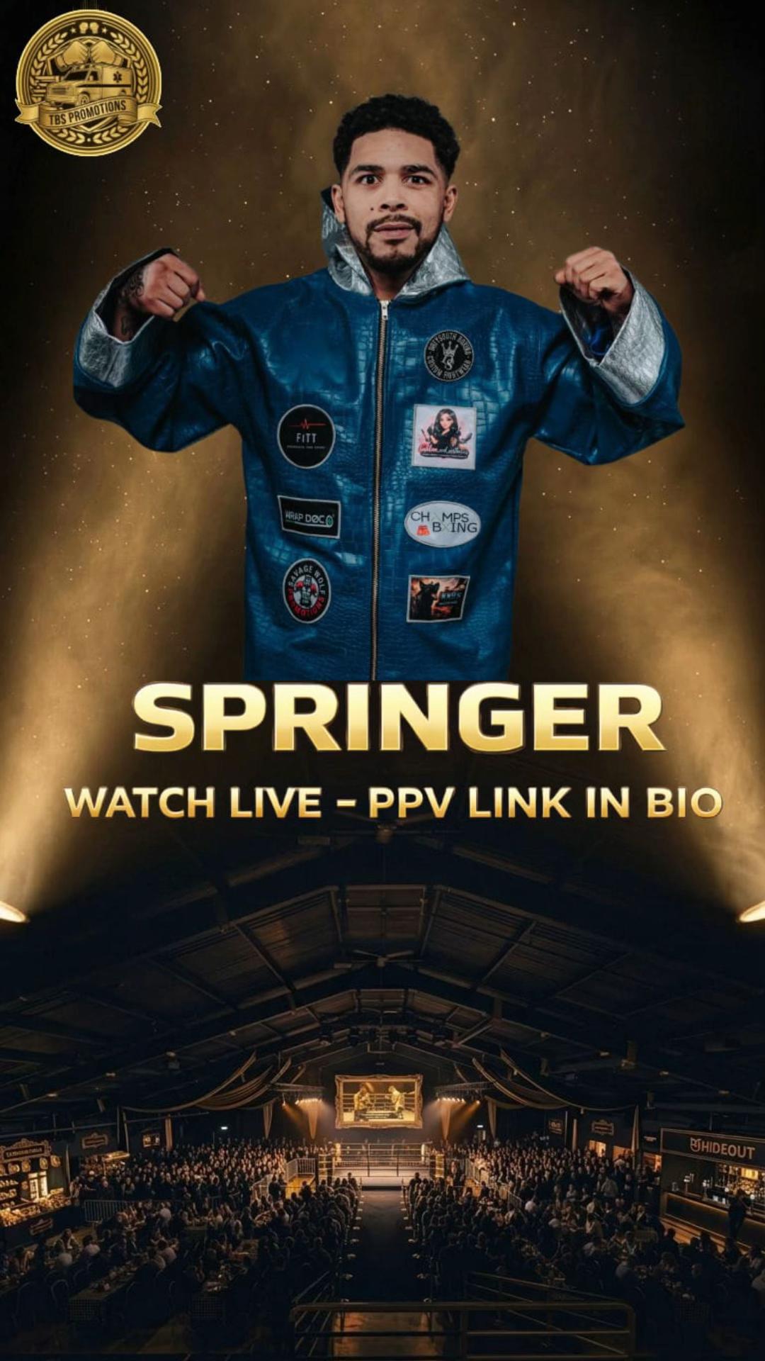@Team springer 25 🧩🐺