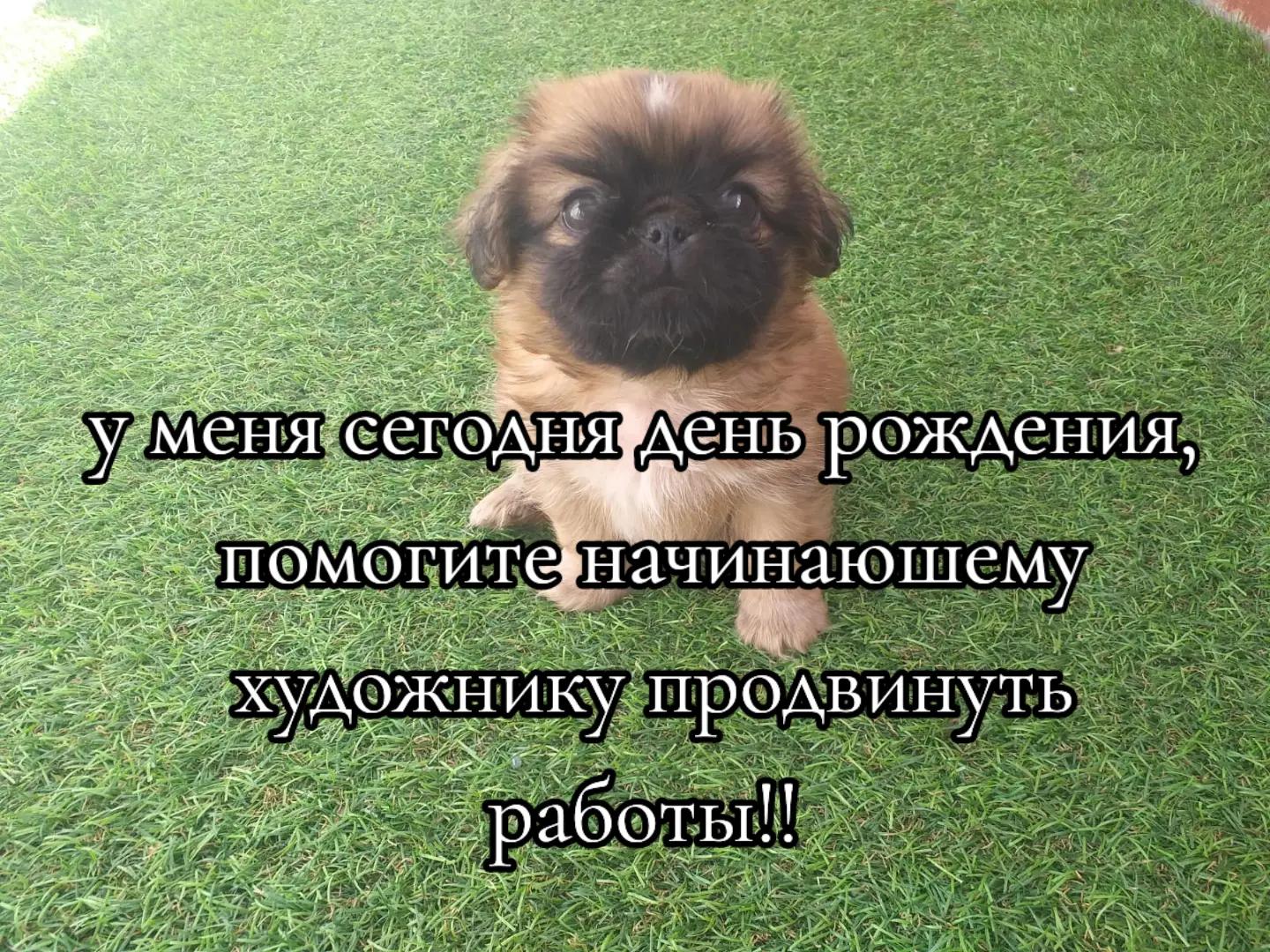 @^^shillalalalaXD@