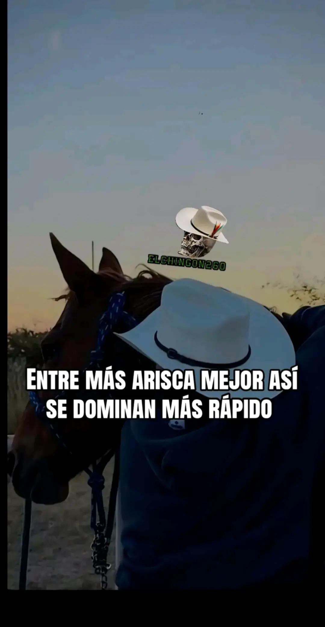 @El tapatio💥