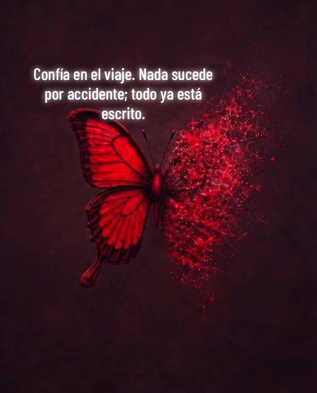 @🦋ƑÃŘƑÃĹĹà βĹǗẸ ŘỖβ🩵
