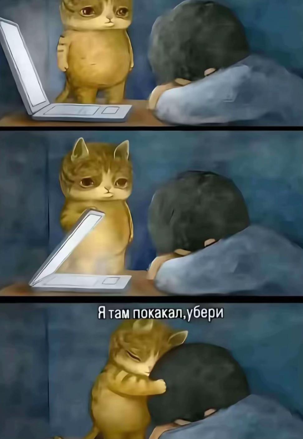 @♰котёнок♰