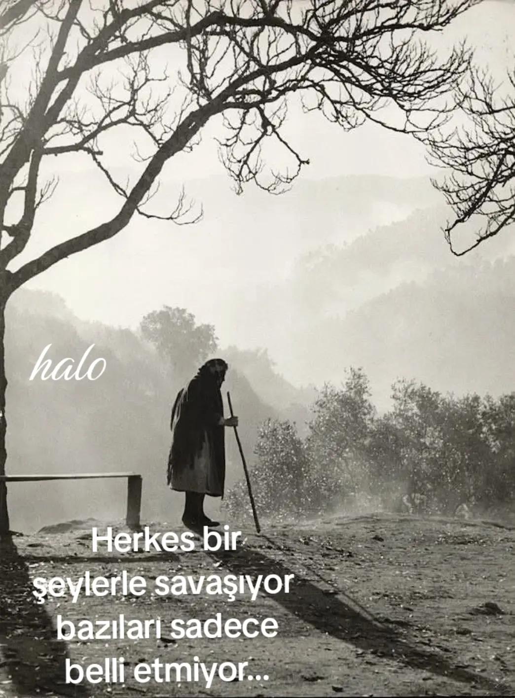 @Halo