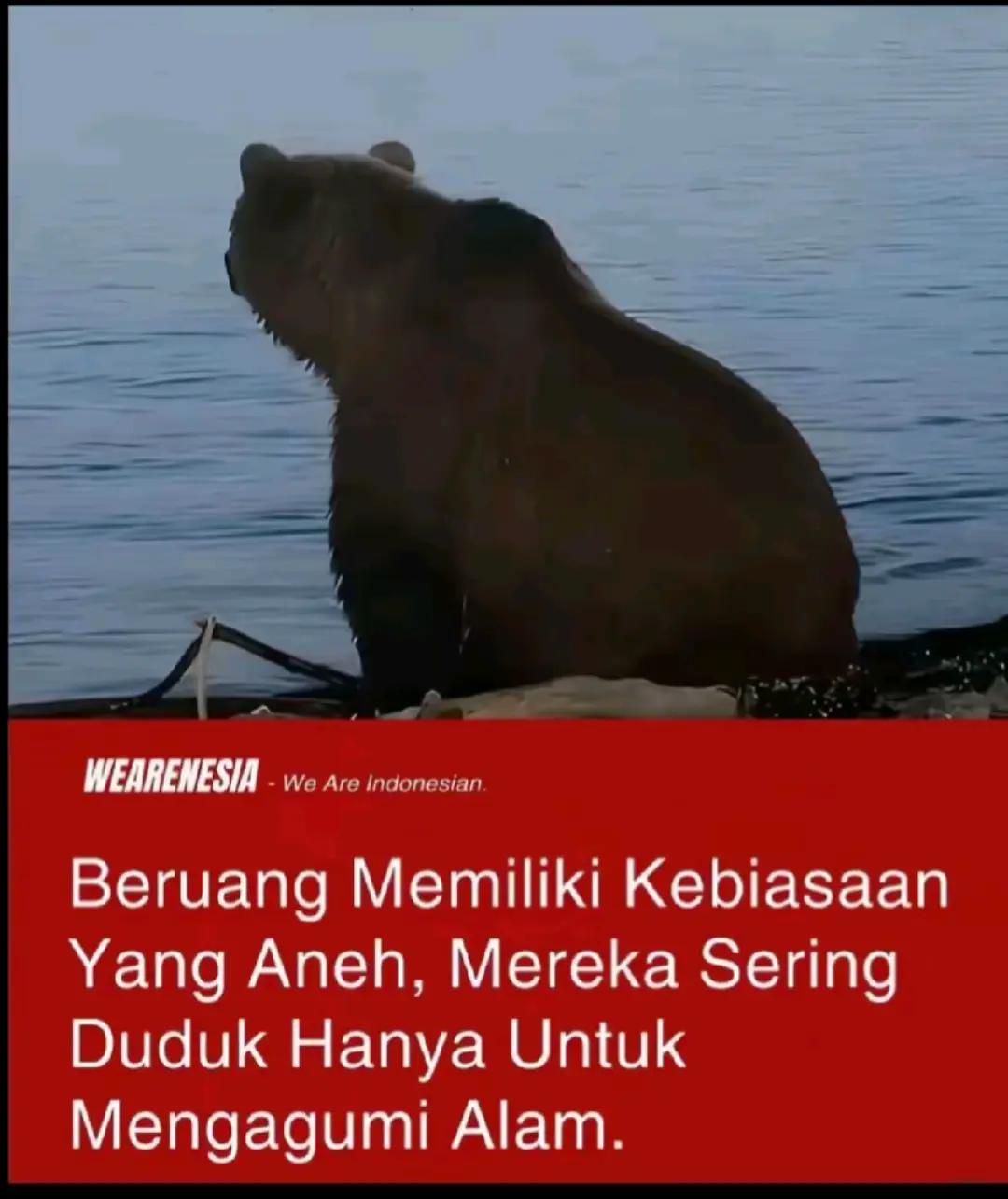 @Andi Pratama