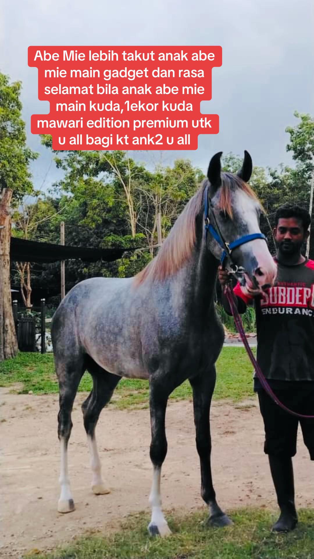 @Subdepo Arabian Park