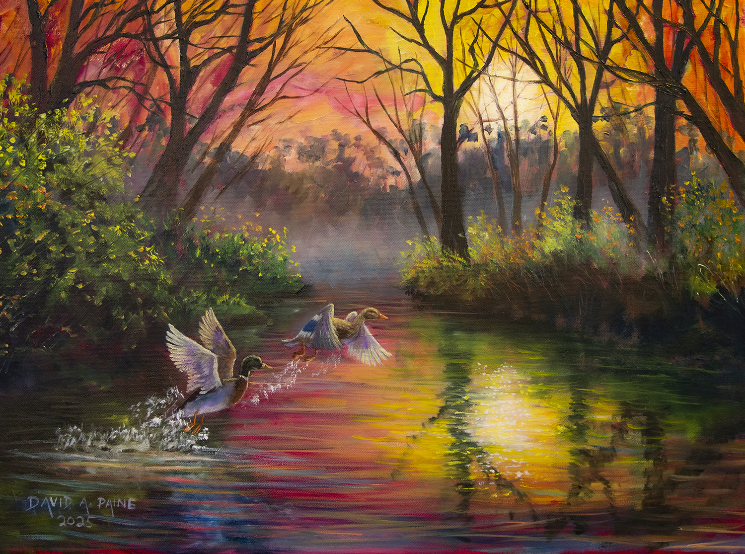 @The Art of David A Paine