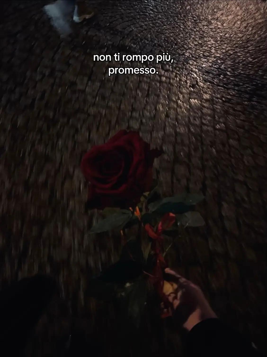 @🎭🌻🌞 Angelo nero 17⛧⃝𓄃🦊🐼