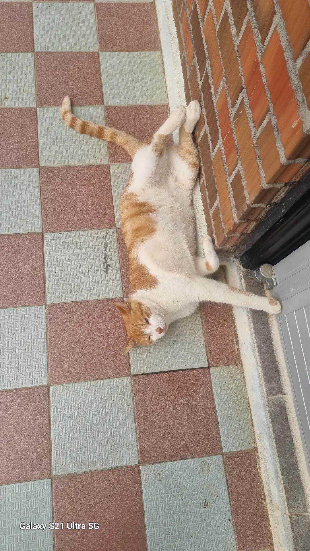 @정남진 어울촌 카페