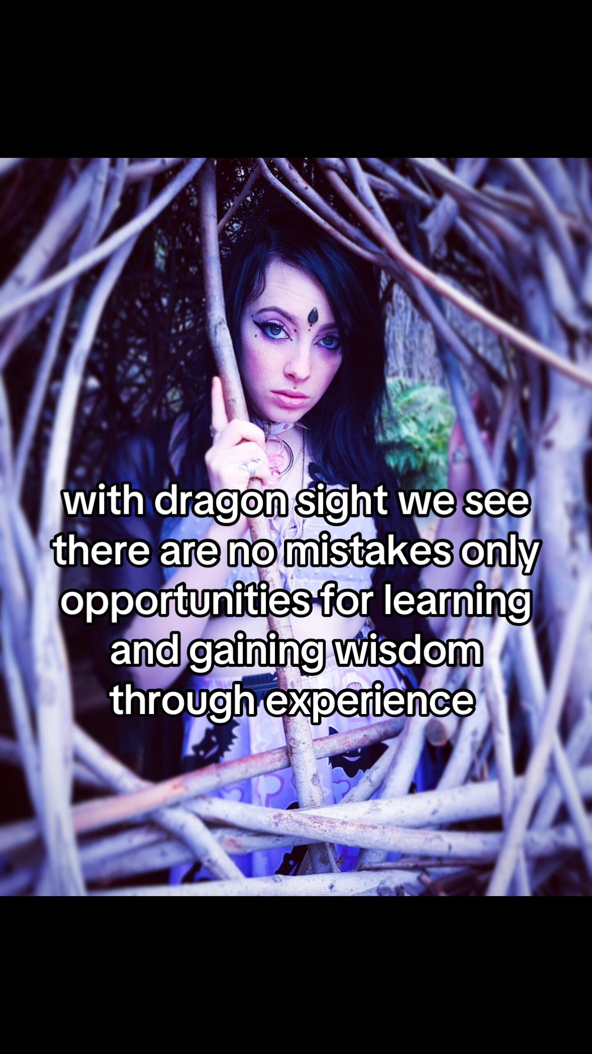 @The Draconic Priestess 🐉