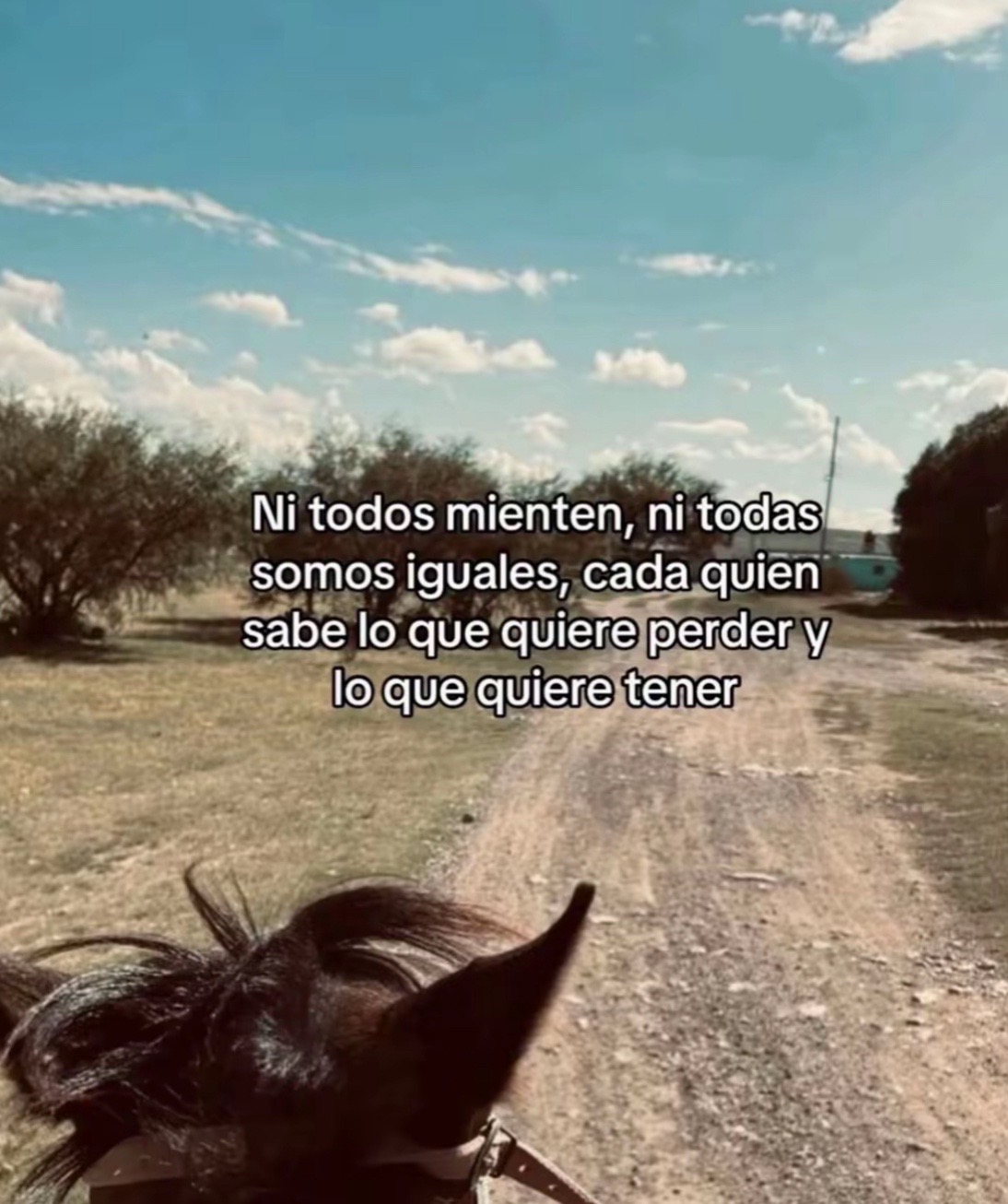 @ℒ ꨄ🇲🇽