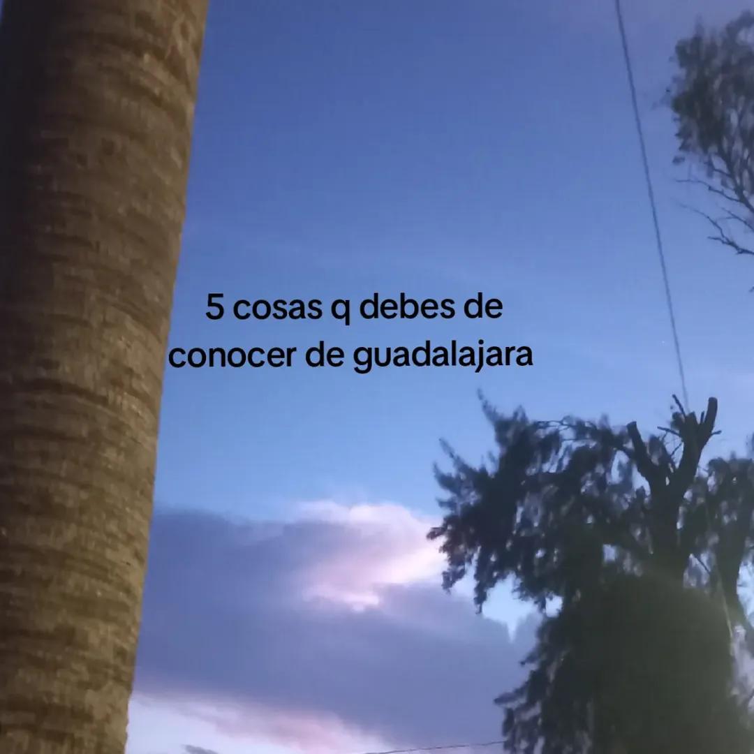 @yas
