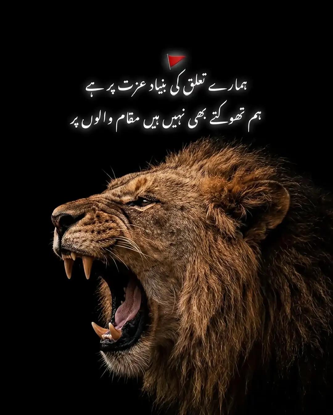 @👑RAJPOOT🦅🔥💀