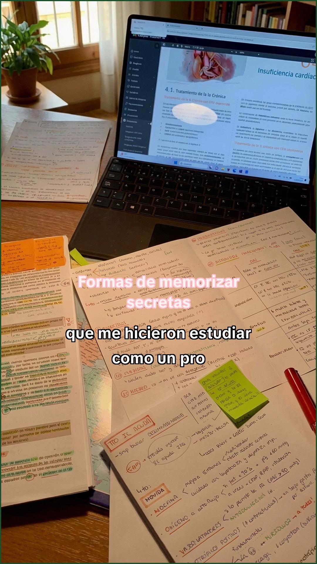 @Estudiaconmia