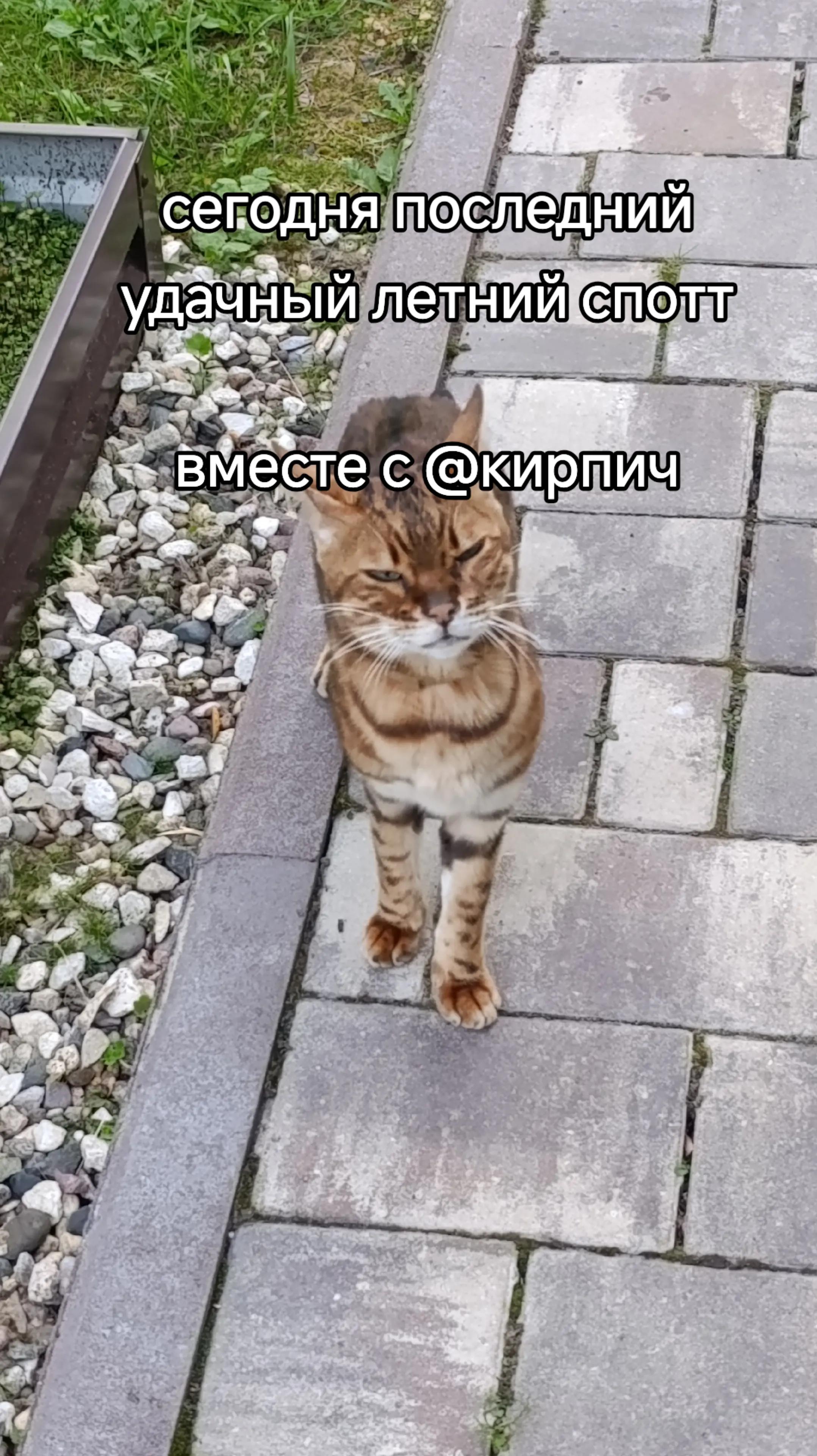 @споттер