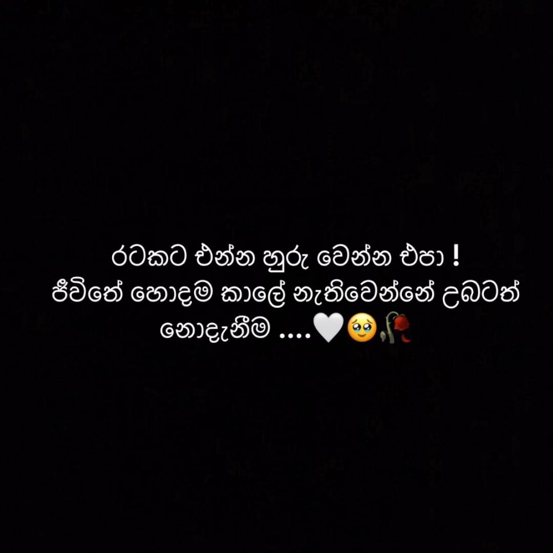 @D_L_sHA🤍💫
