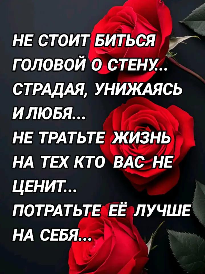 @♥️🖤♥️Lisichka