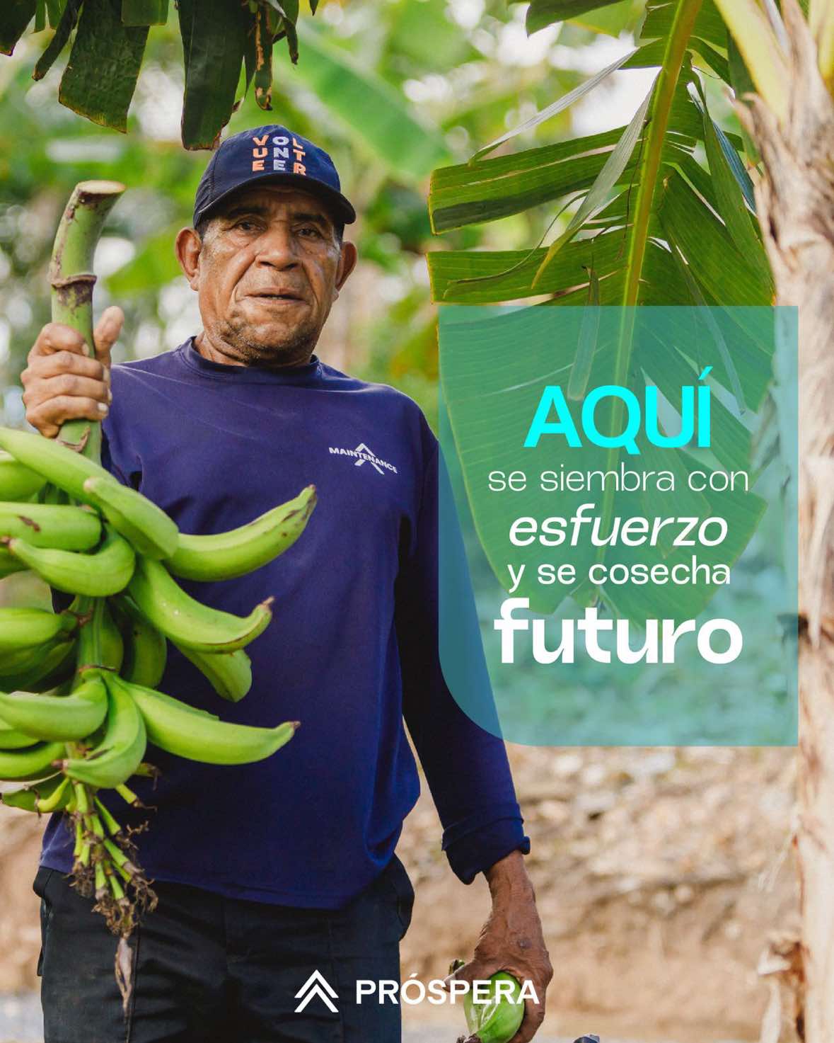 @Pr&oacute;spera Honduras
