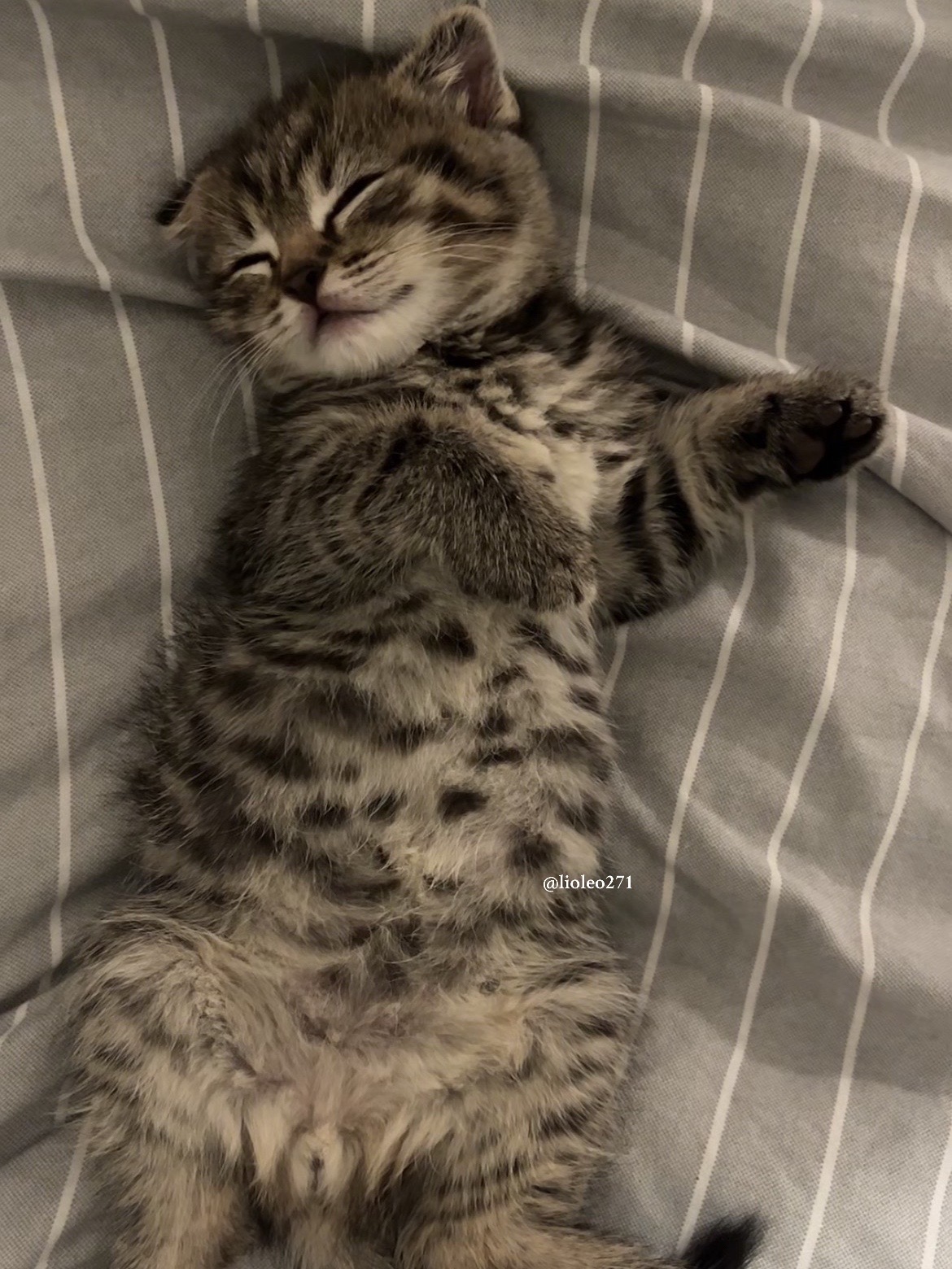 @ูููู๐