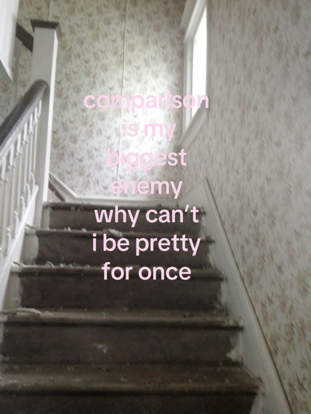 @🪽