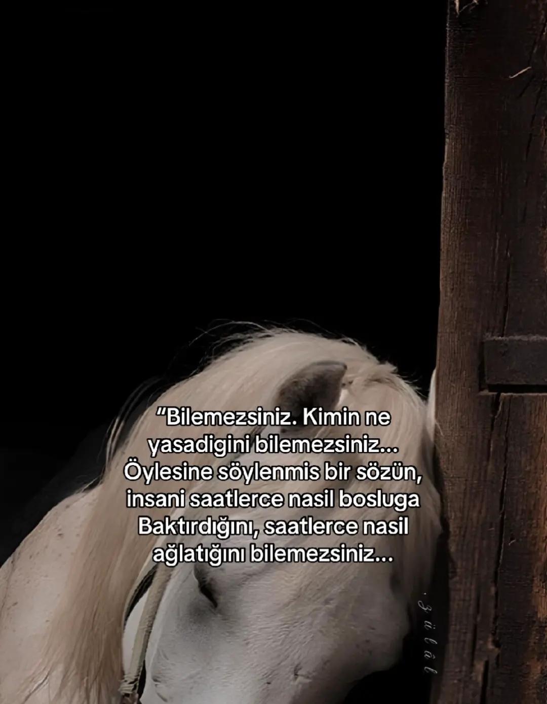 @ÁŠLî。✧