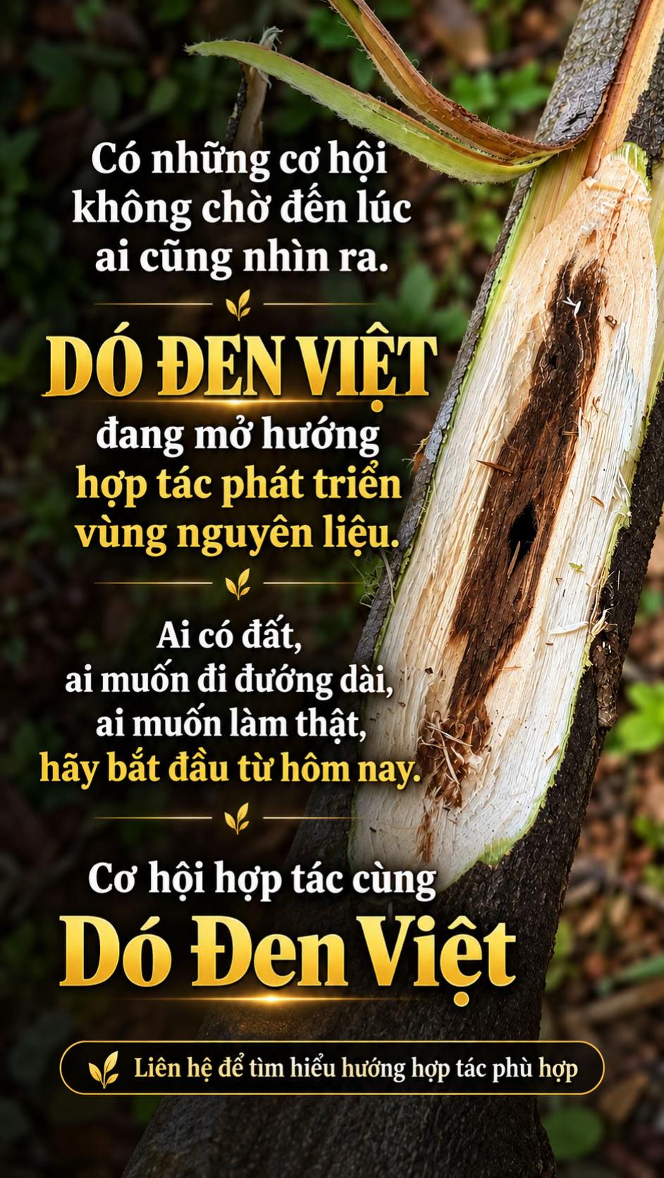 @Dó Đen Việt !