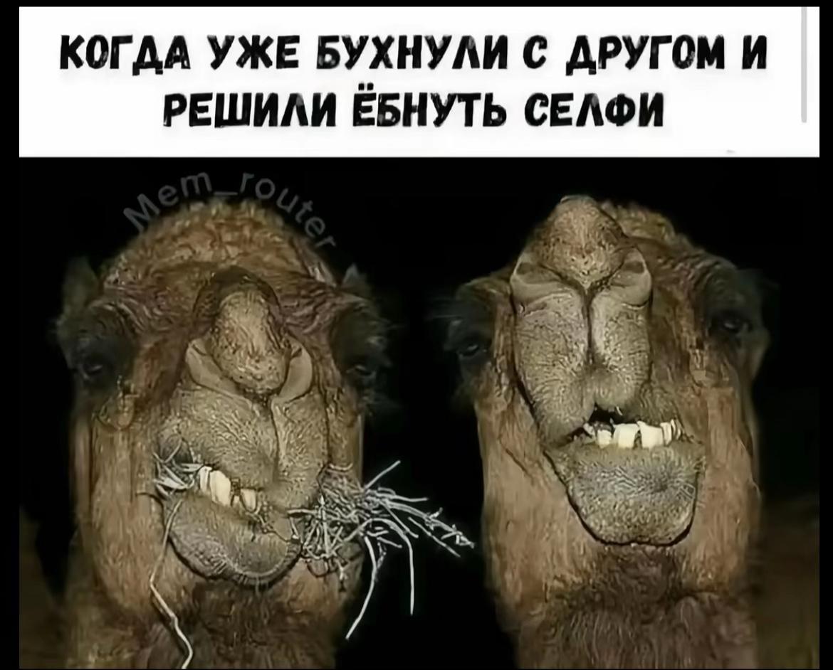 @𝔑𝔞𝔰𝔱𝔶𝔲𝔨𝔥𝔞