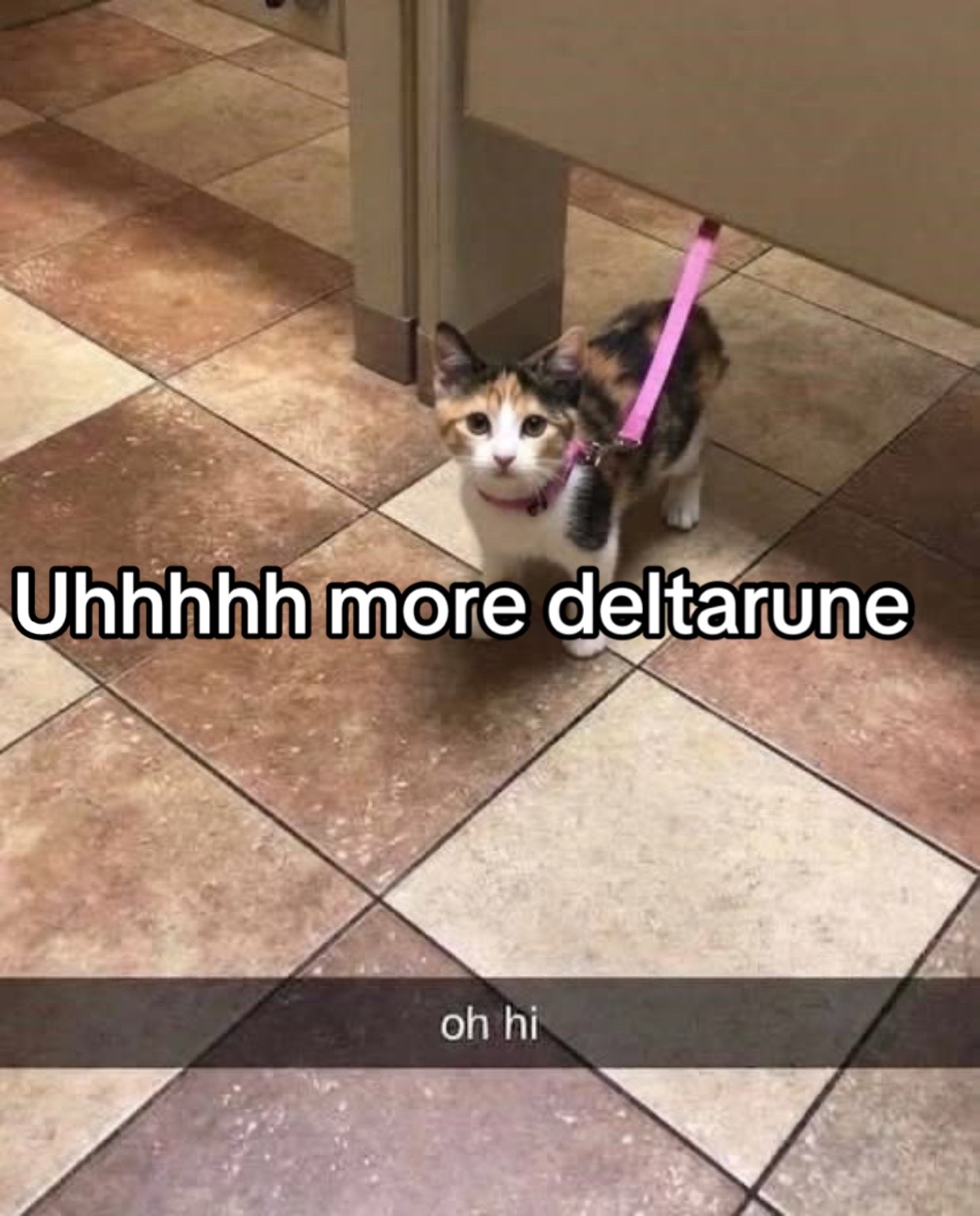 @nerd