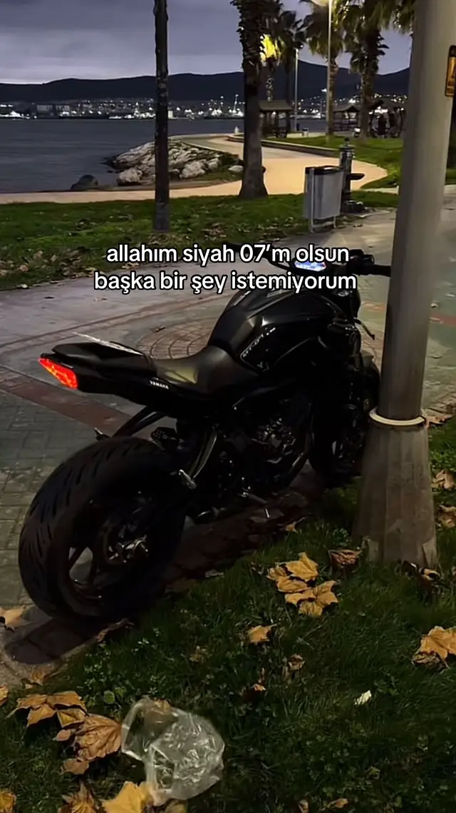 @Berkay Kartal
