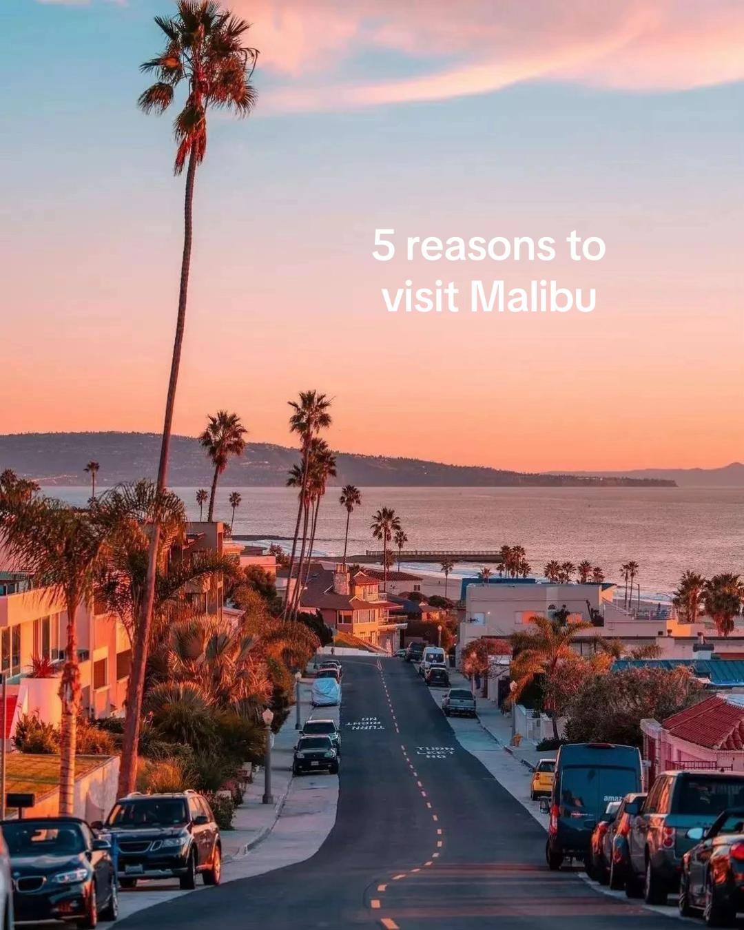 @tzevet.malibu