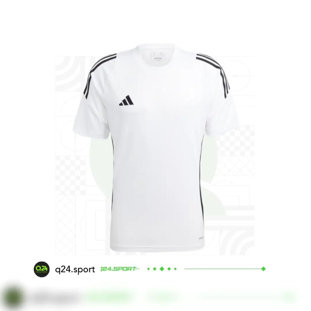 @Q24 sport